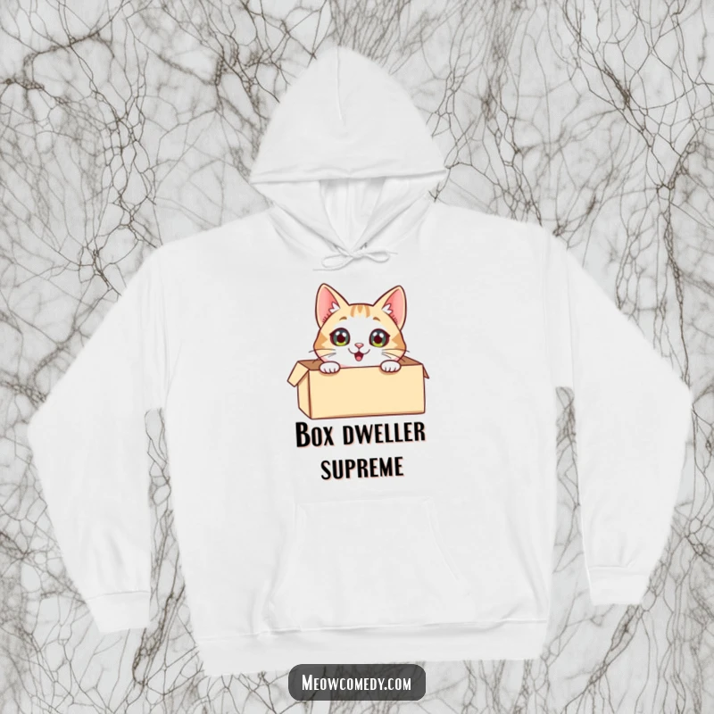 Funny Cat Hoodie: A cute, excited cat with big eyes emerging from a cardboard box, embodying playful mystery and fun.